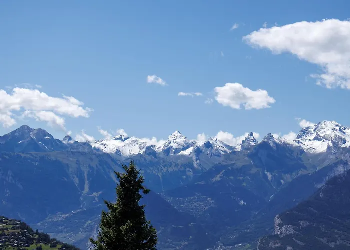 Hortensia 10 By Interhome 公寓 *